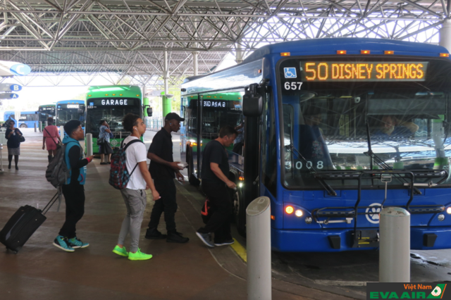 Xe bus là phương tiện di chuyển phổ biến dành cho hành khách để về trung tâm thành phố