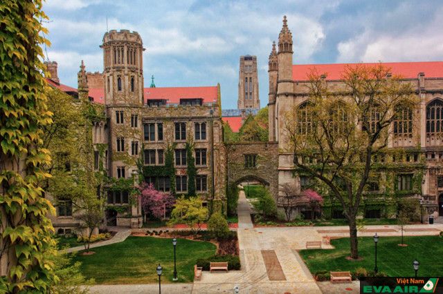 Chicago University sở hữu lối kiến trúc vô cùng ấn tượng