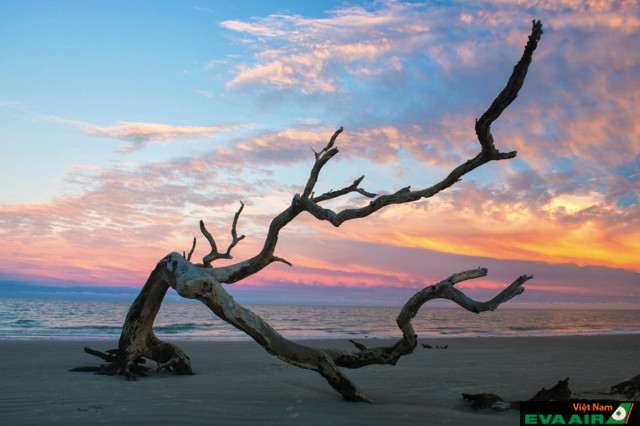 Jekyll Island sở hữu vẻ đẹp thanh bình hiếm có