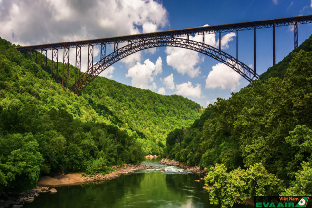 Cầu New River Gorge đi qua khu rừng xanh mát, mang đến cảnh tượng đầy đẹp mắt