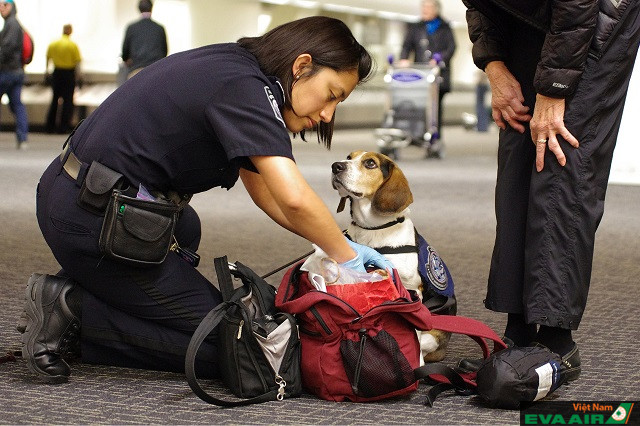 Lực lượng CBP sẽ kiểm tra hành lý và làm các công tác bảo vệ khác tại sân bay ở Mỹ