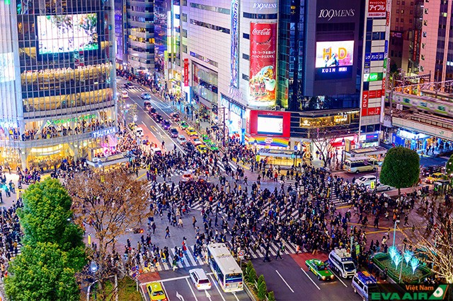 Khu mua sắm Shibuya nổi tiếng ở Tokyo