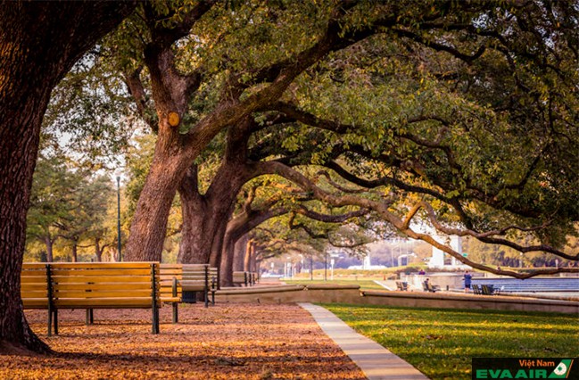 Một vòng quanh những điểm đến hấp dẫn nhất ở Houston