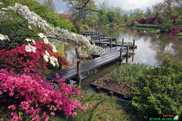 Không chỉ là nơi tuyệt vời để ngắm hoa vườn Bách thảo Missouri còn là một điểm đến tự nhiên tuyệt đẹp