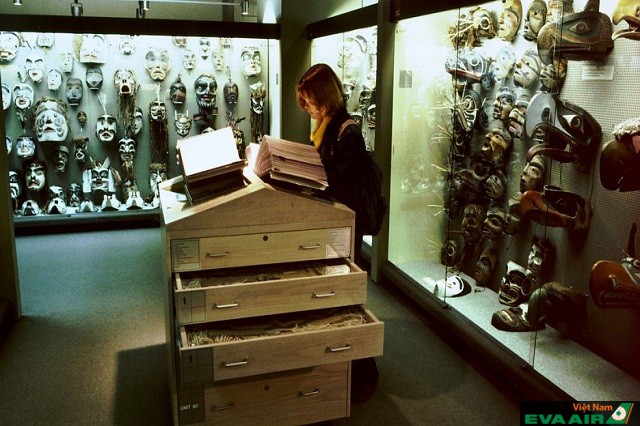 Bảo tàng Nhân học là nơi lưu giữ những bộ sưu tập phong phú của các hiện vật nhân chủng học trên thế giới