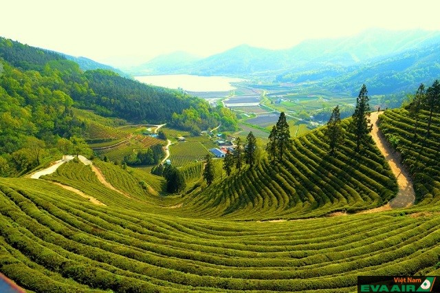 Top 4 địa điểm tham quan hàng đầu ở Hàn Quốc