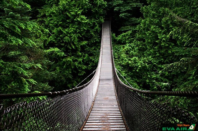 Cầu treo Capilano – nơi bạn có những trải nghiệm thú vị ở Vancouver