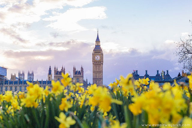 Vé máy bay đi London một chiều - khứ hồi giá rẻ