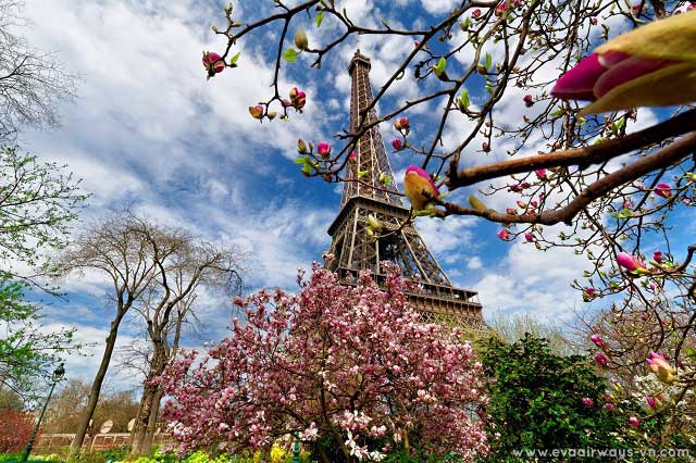 Mùa xuân thời điểm lý tưởng nhất để du lịch Paris