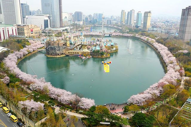Hồ Seokchon thu hút du khách nhiều nhất vào lễ hội hoa anh đào hằng năm