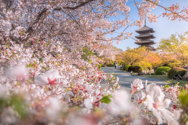 Đâu là những địa điểm du lịch tâm linh nổi tiếng nhất ở Kyoto