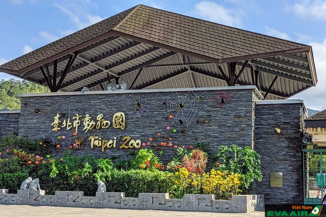 Khám phá thế giới động vật hoang dã tại Taipei Zoo – Đài Loan