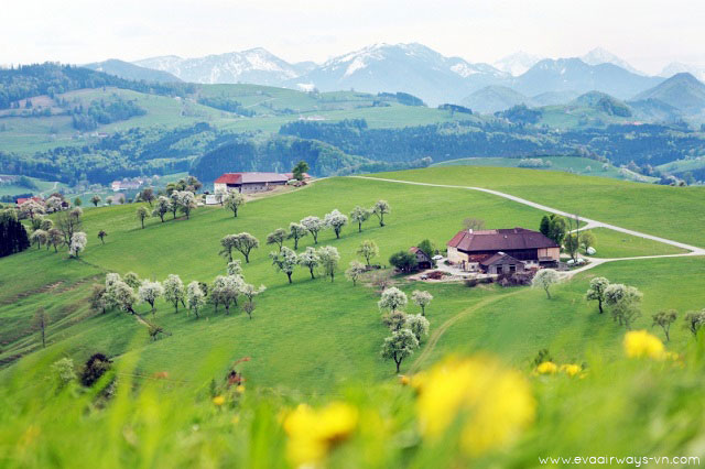 Những điểm du lịch “đốn tim” du khách ở nước Áo