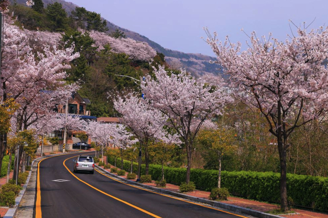 Những trải nghiệm hàng đầu cho du khách khi đến Changwon, Hàn Quốc