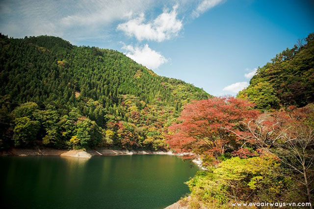 Okutama – điểm đến “ngọt ngào” ở Tokyo